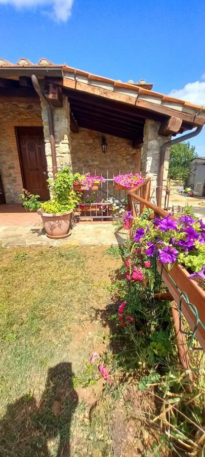 סטורניה Agriturismo La Casina מראה חיצוני תמונה